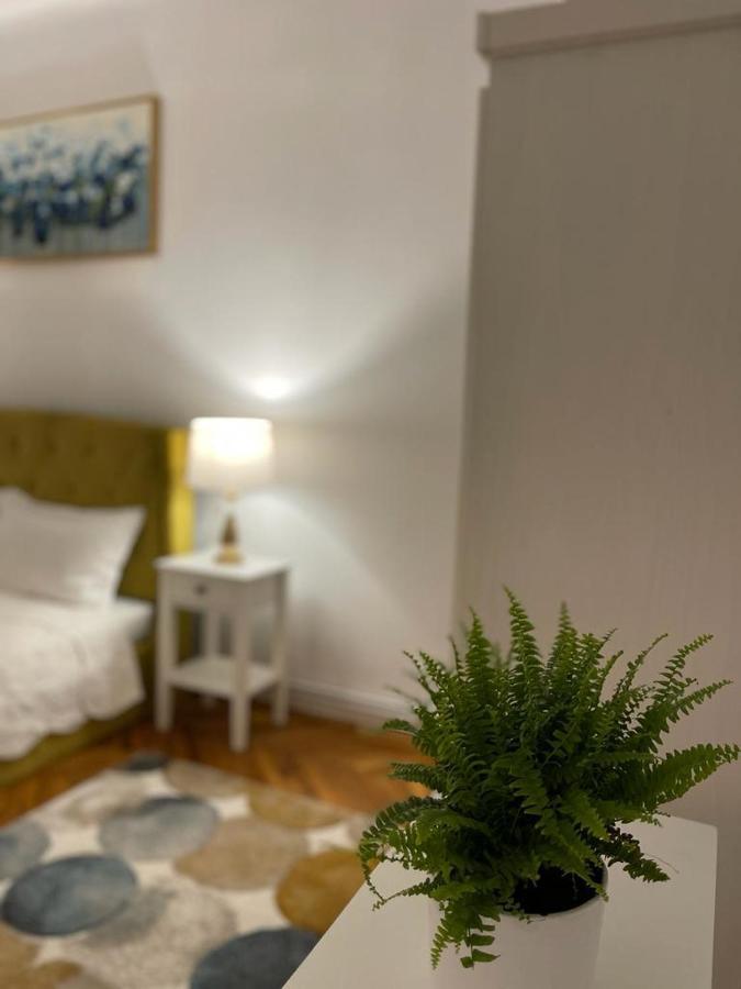 Cityviews Apartment Cluj Eksteriør bilde