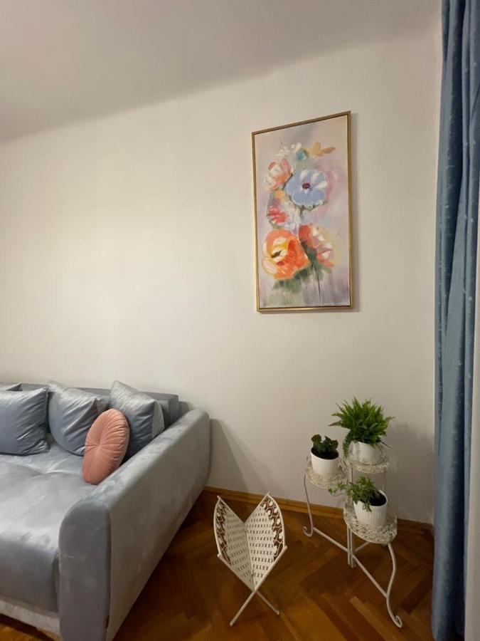 Cityviews Apartment Cluj Eksteriør bilde